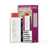 Vozol Star 9000 Disposable Vape raspberry watermelon