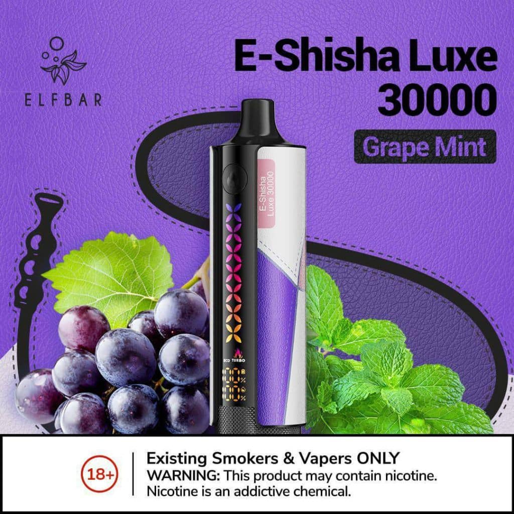 Elf bar Shisha DL 30K Grape Mint