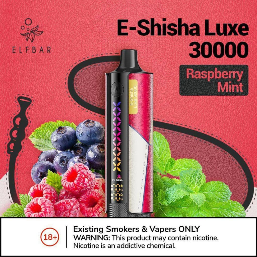 Elf Bar Shisha DL 30K Raspberry Mint